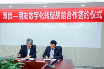 陆志鹏履新中国电子，董明珠回应雷军赌约 网络技术咨询服务行业新动态