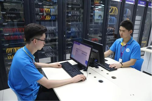 计算机专业还能报考吗？从985软件学院低就业率看行业现状与理性选择