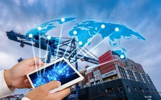 进口日用品关税调整下的通关便利化 海关编码查询与网络技术咨询服务